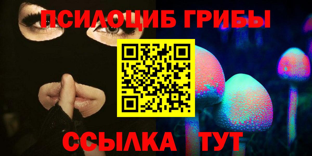Галлюциногенные грибы Cubensis Каменск-Шахтинский